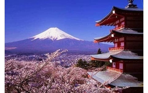 疫情以来最大规模！日本批准21.3万亿日元经济刺激计划